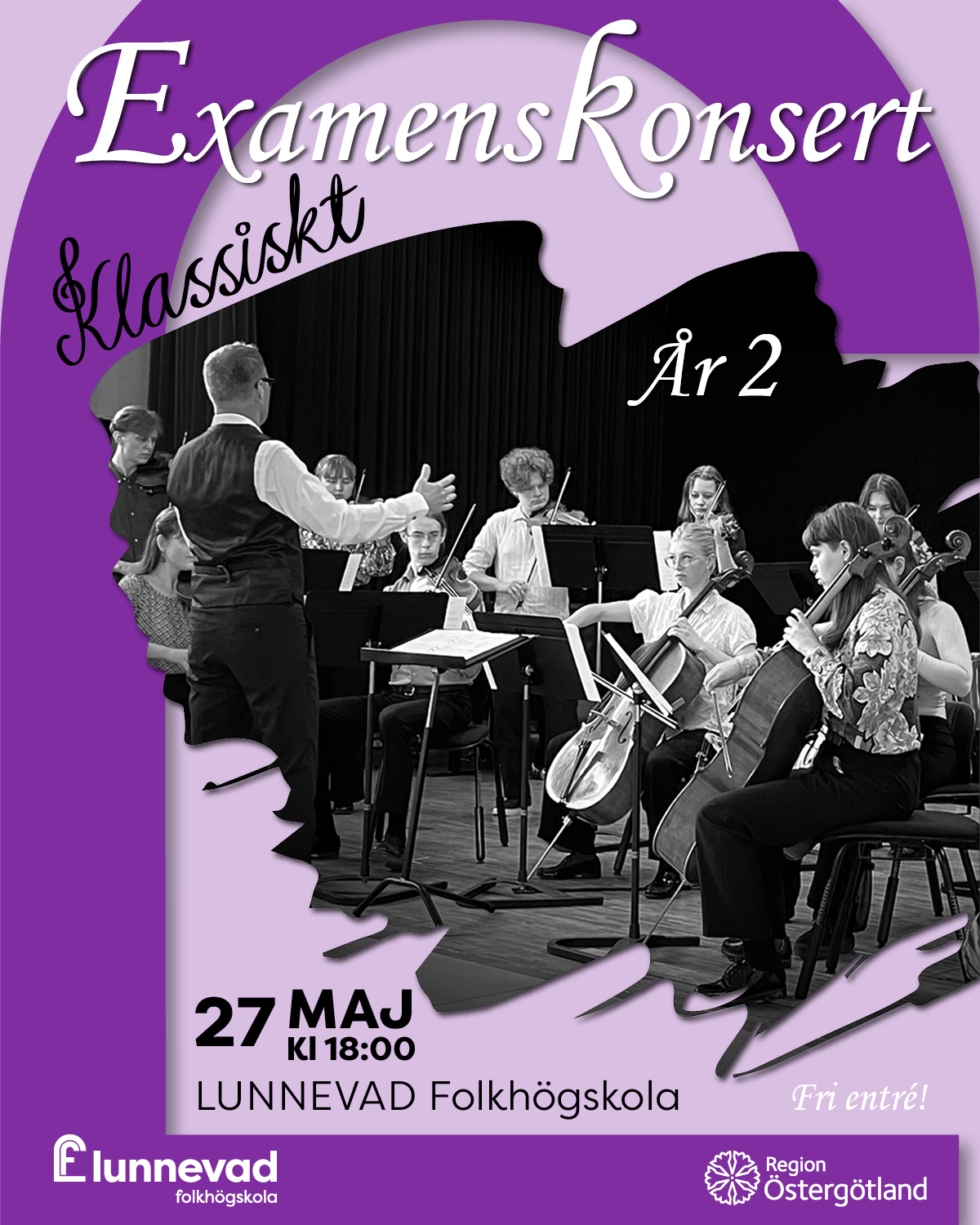 Bild på musiker som spelar klassiskt.