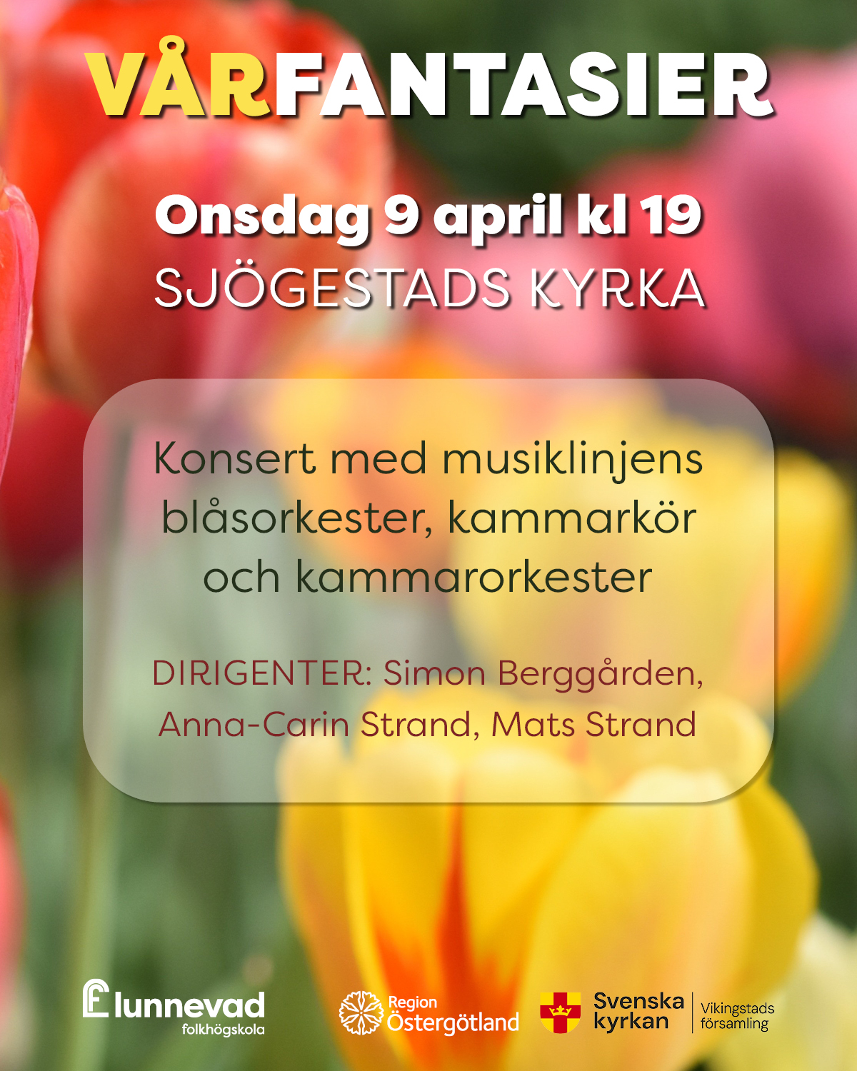 Affisch med tulpaner